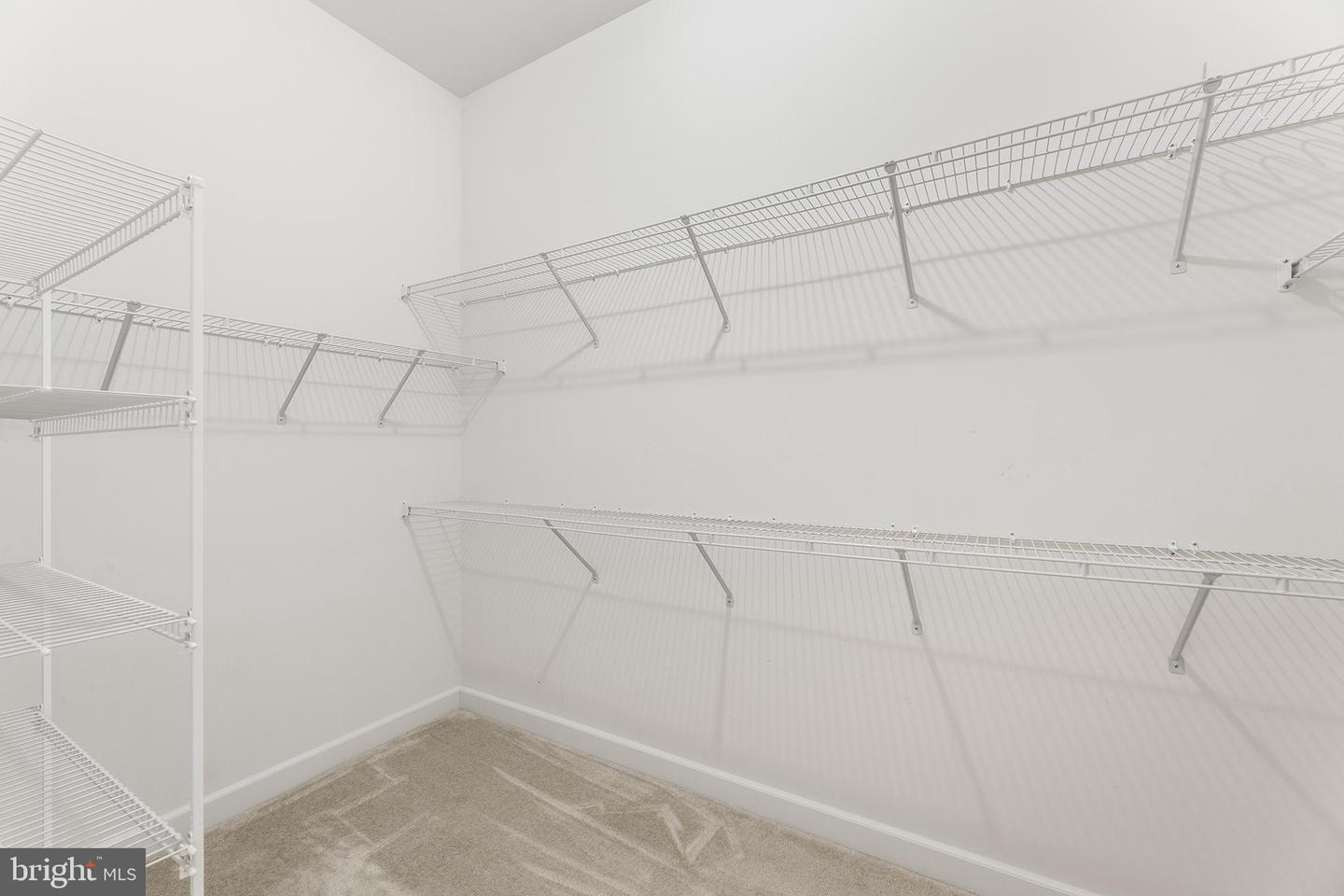 27145 Buckskin Trl Property Photo 18