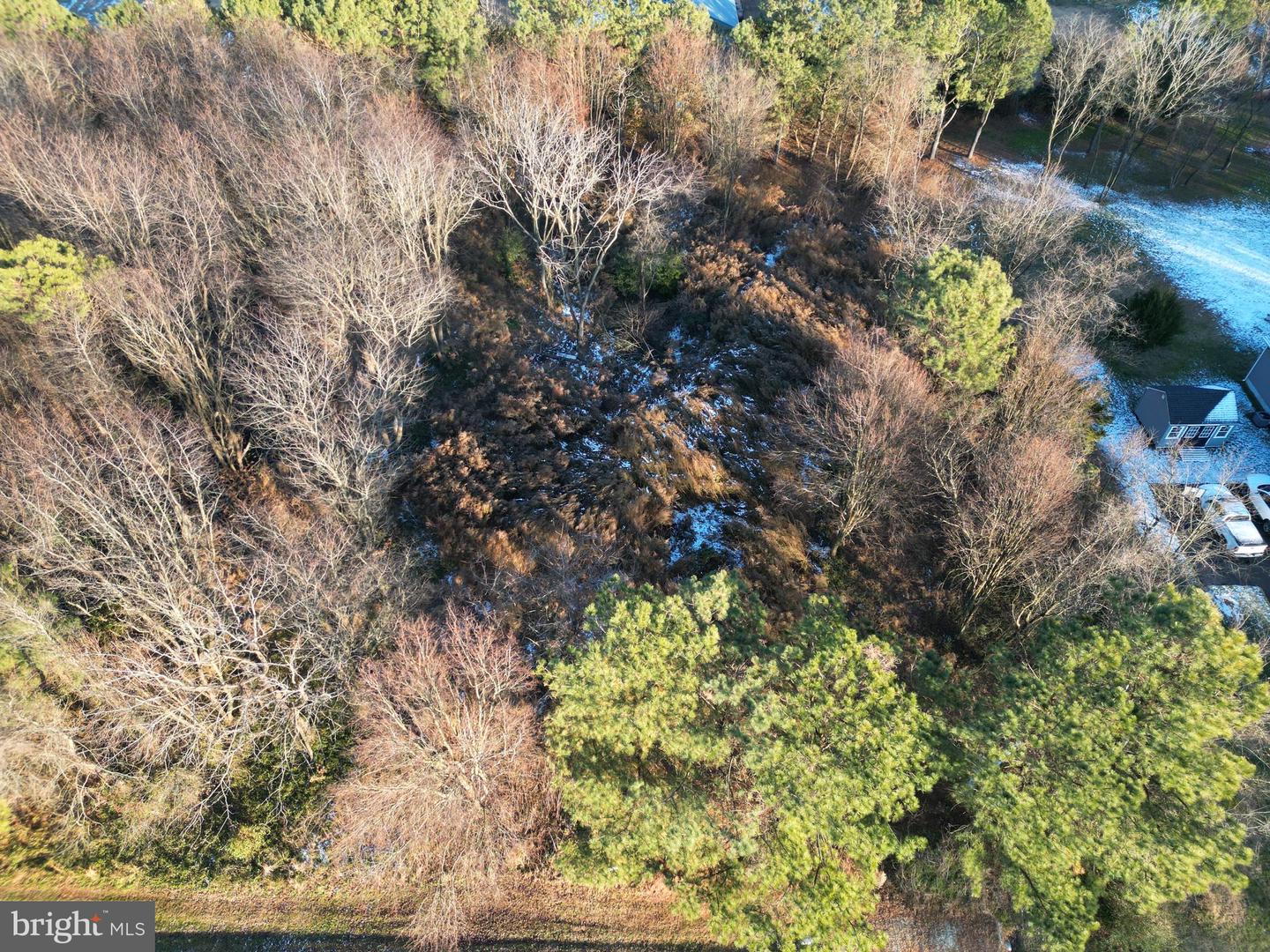 Lot #4 Falling Point Road Property Photo 6