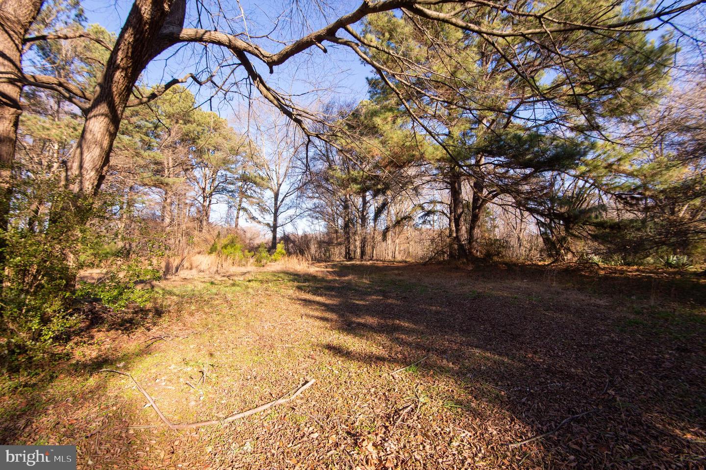 11145 Laurel Road Property Photo 29