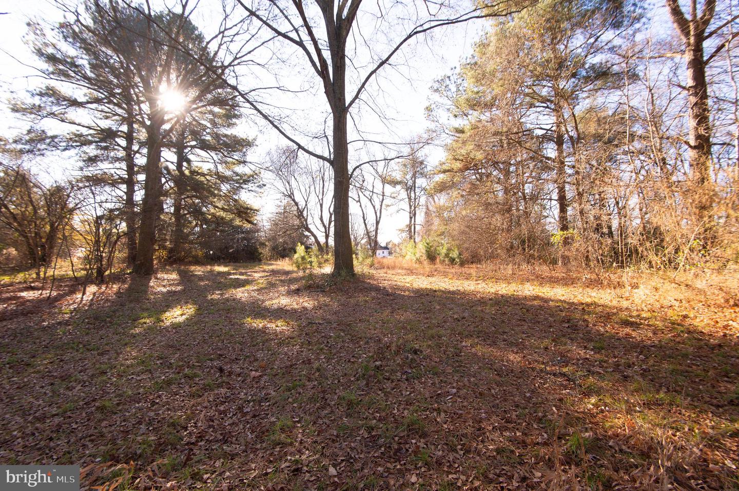 11145 Laurel Road Property Photo 30