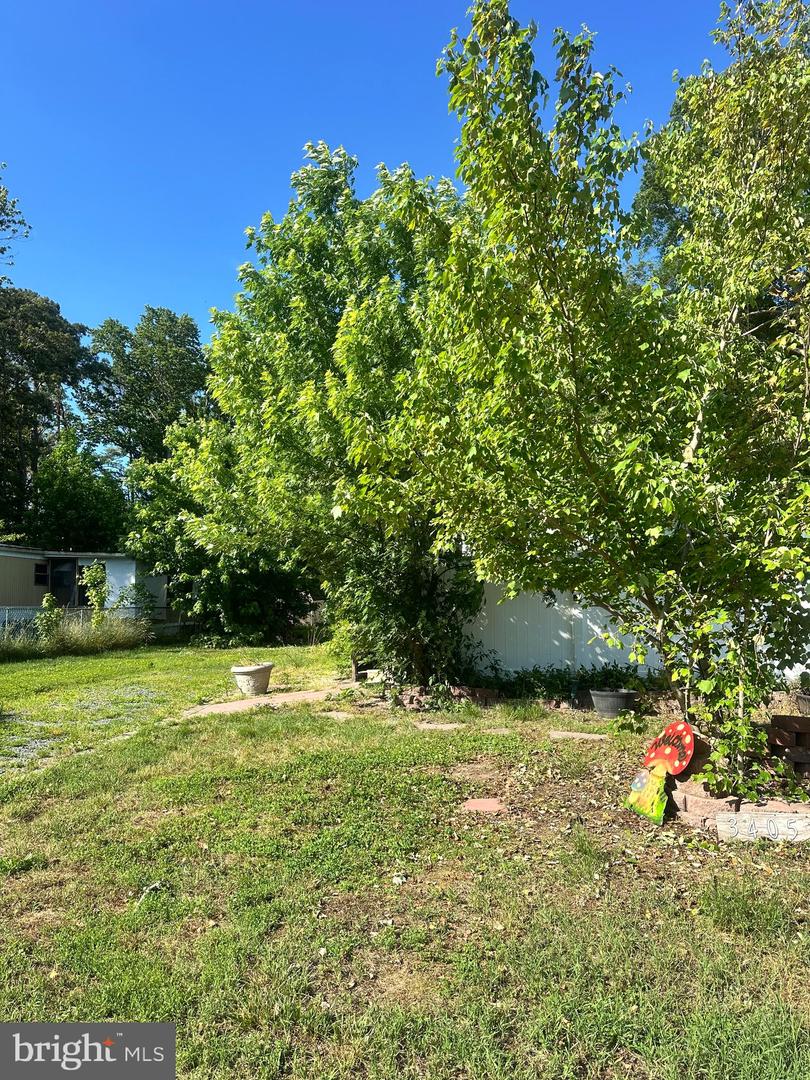 34051 Orchid Ln Property Photo 29