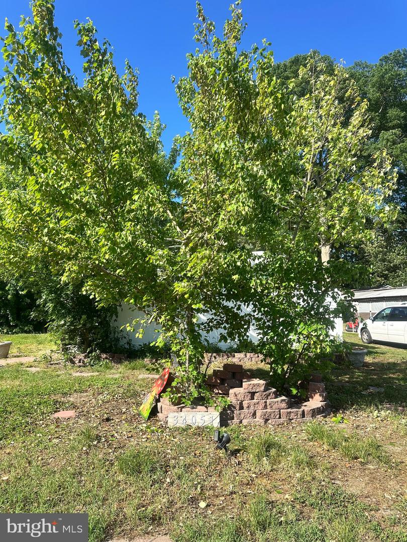 34051 Orchid Ln Property Photo 30