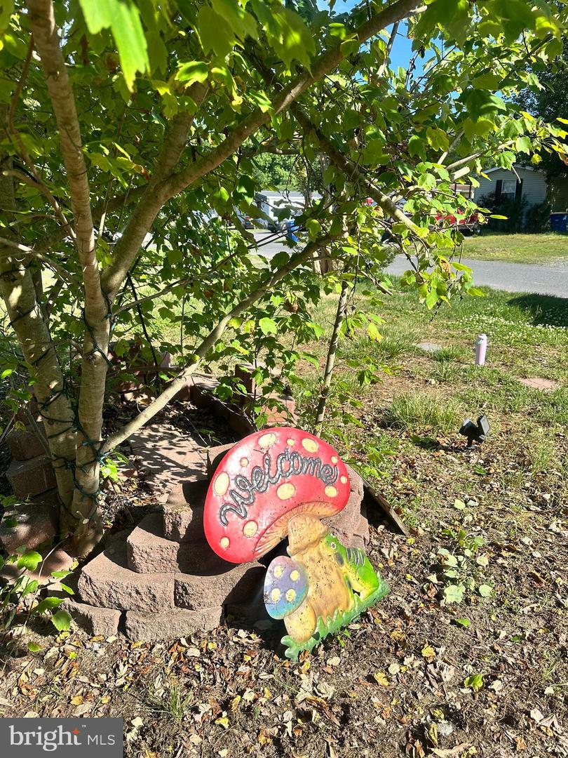 34051 Orchid Ln Property Photo 31