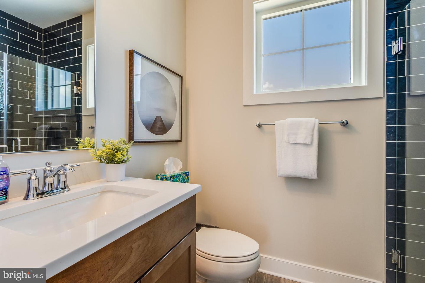 30461 Blue Beech Ln Property Photo 61