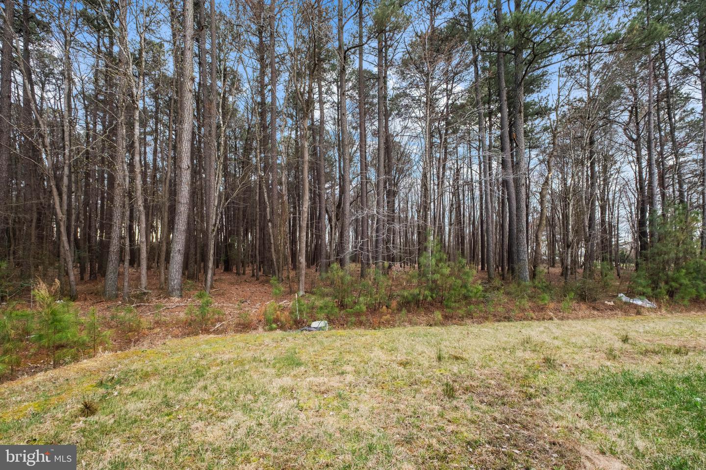 11735 Buckingham Dr Property Photo 8