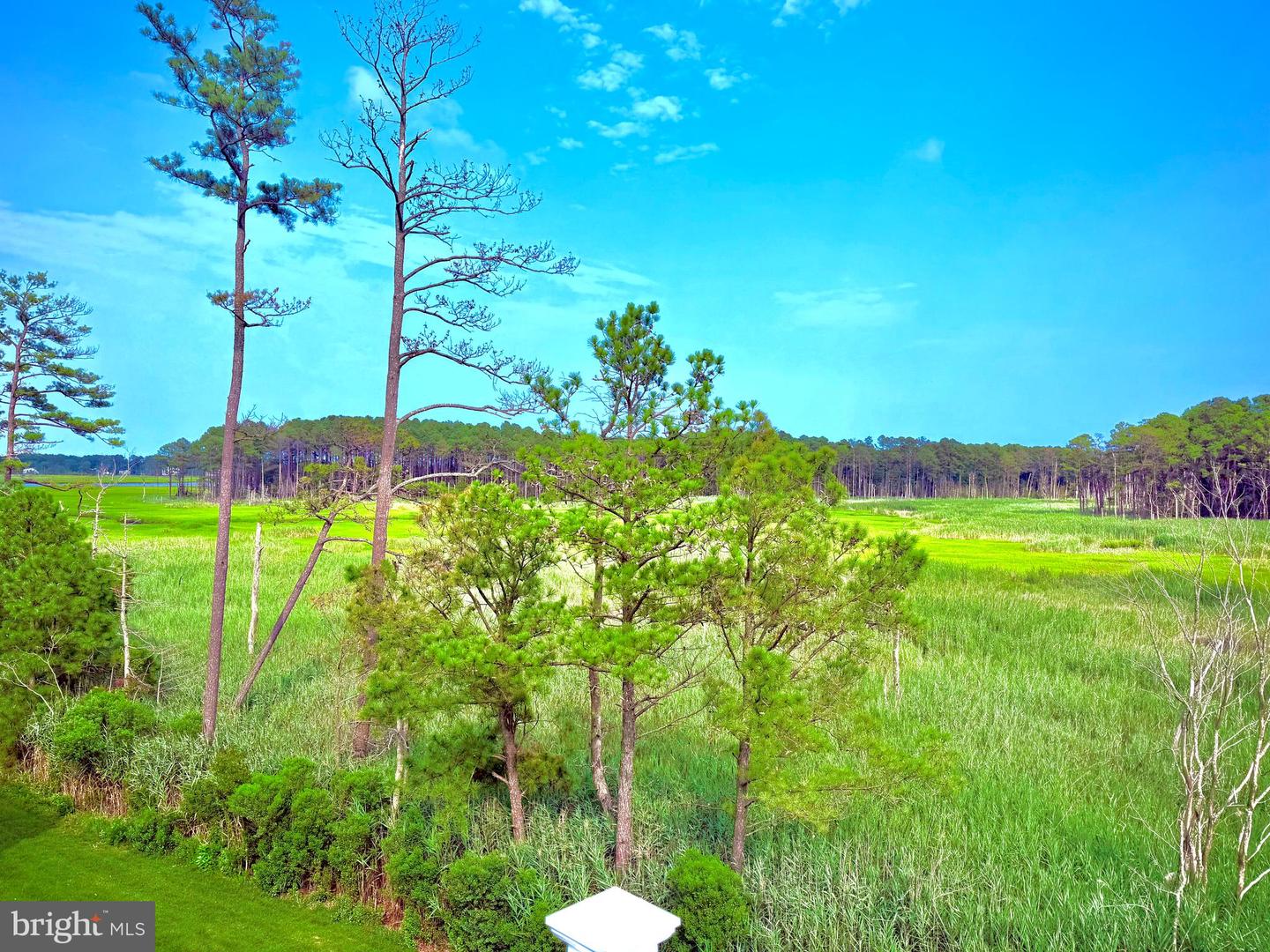 33696 Halford Cir Property Photo 2
