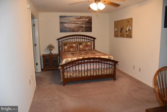 38586 Yolanda St Property Photo 5