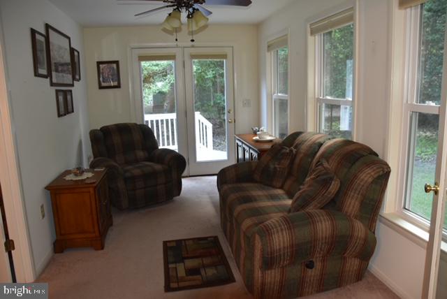 38586 Yolanda St Property Photo 6