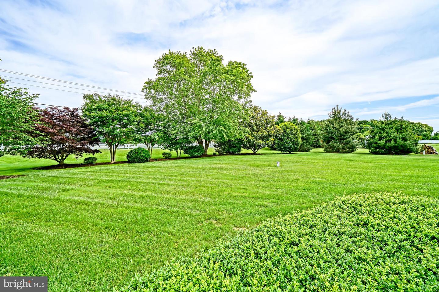 16402 Winding River Dr Property Photo 46