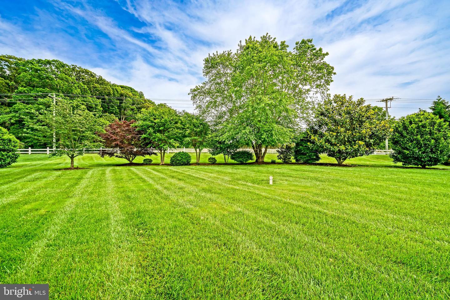 16402 Winding River Dr Property Photo 47