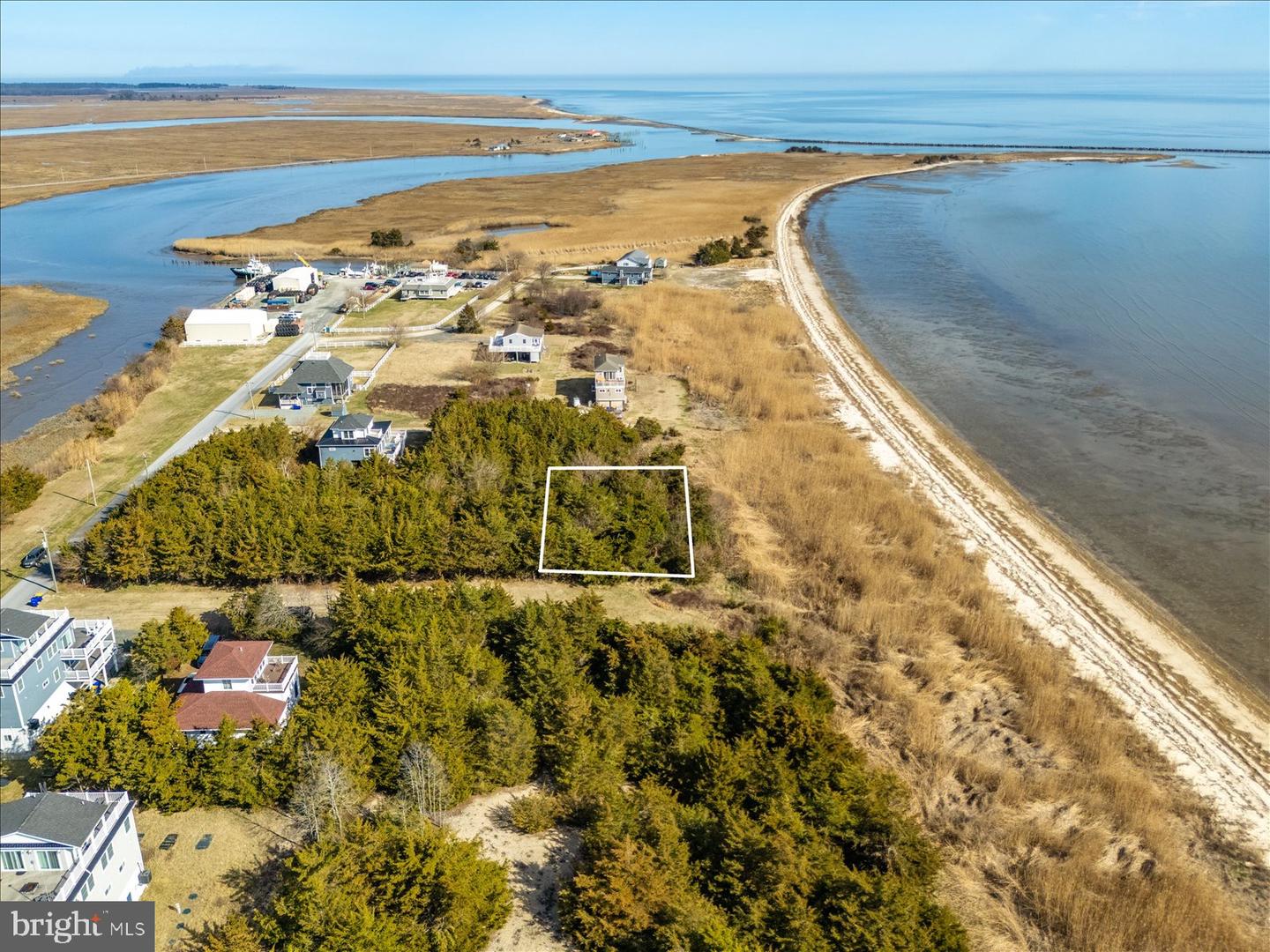 106 Blue Heron Property Photo 3