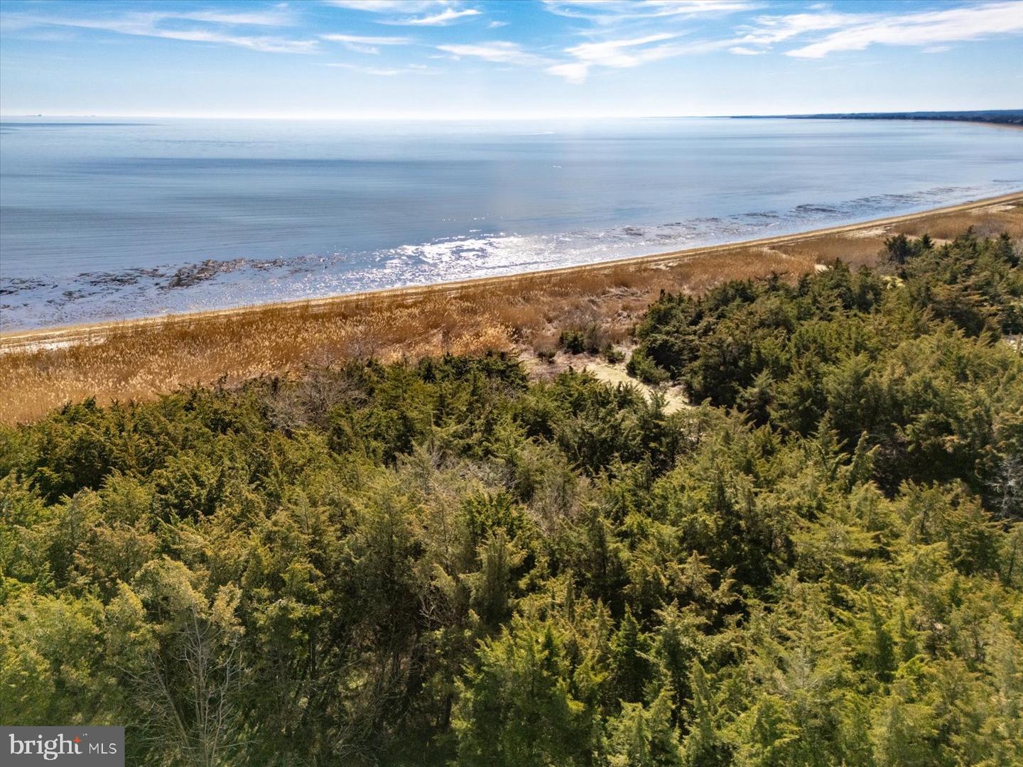 106 Blue Heron Property Photo 8