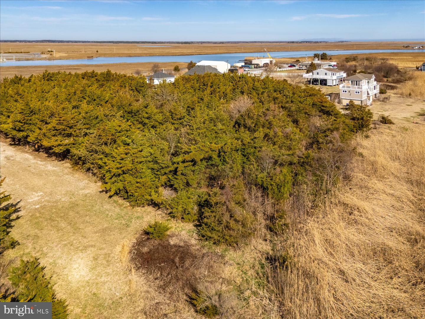 106 Blue Heron Property Photo 25