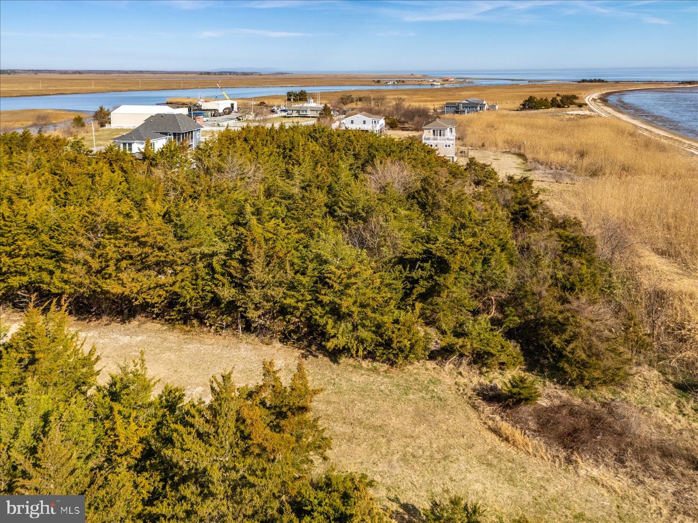 106 Blue Heron Property Photo 26