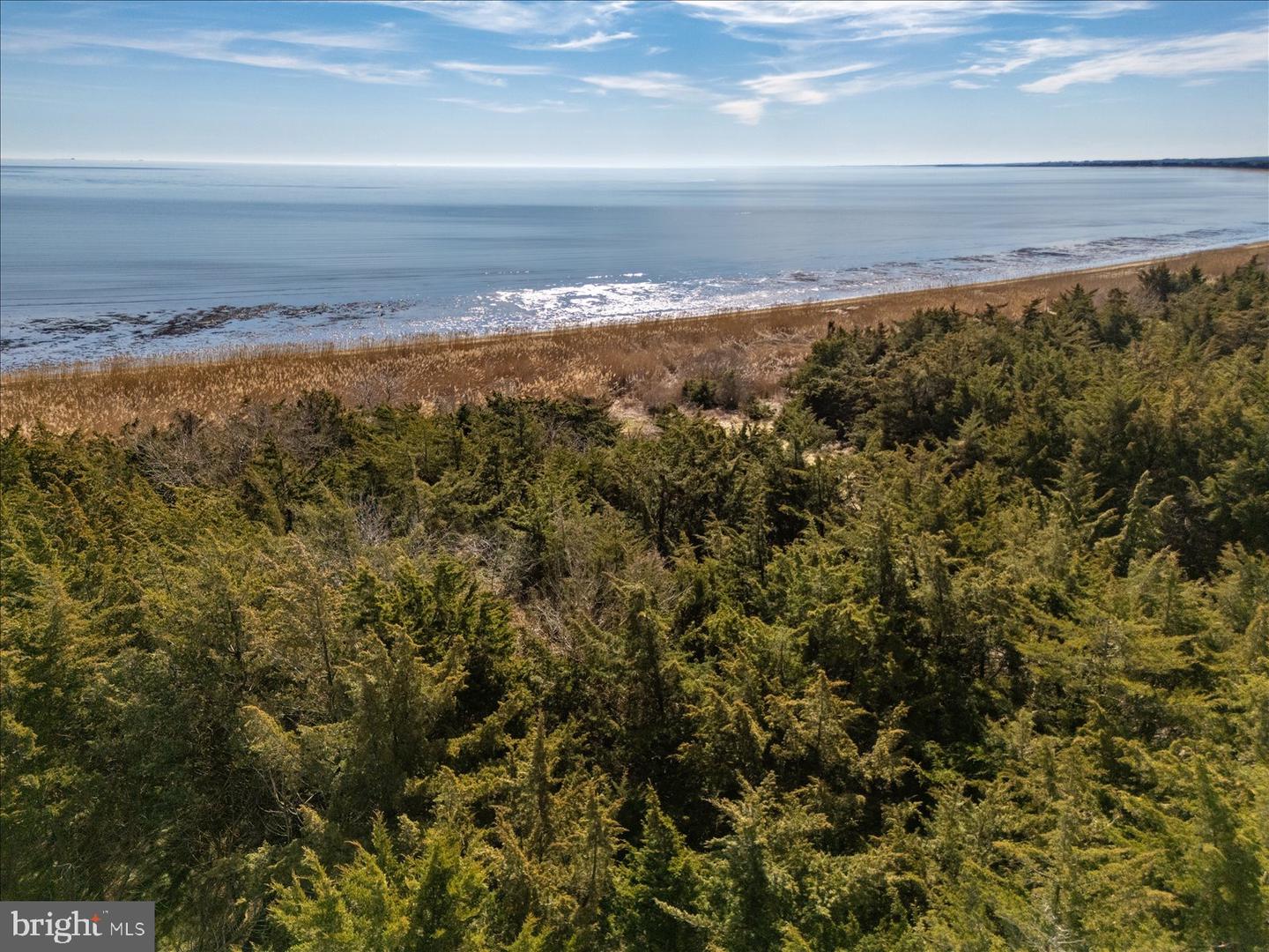 106 Blue Heron Property Photo 28