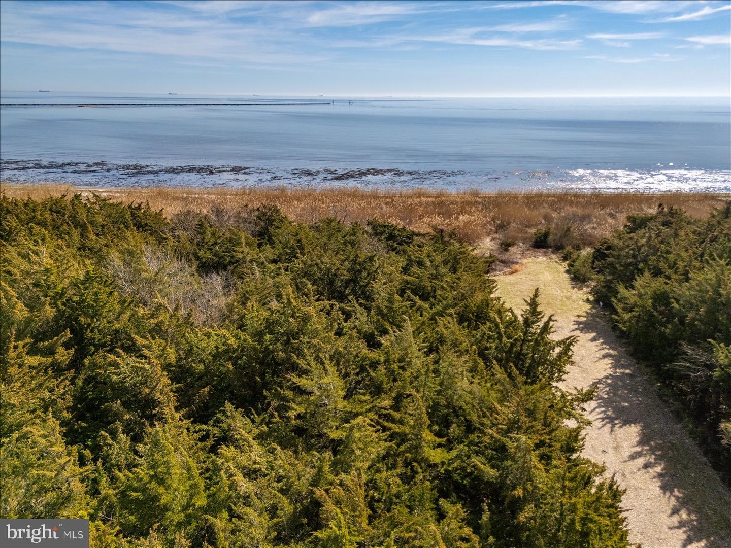 106 Blue Heron Property Photo 43