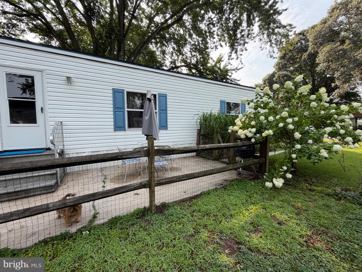 33515 Buttercup St Property Photo 6