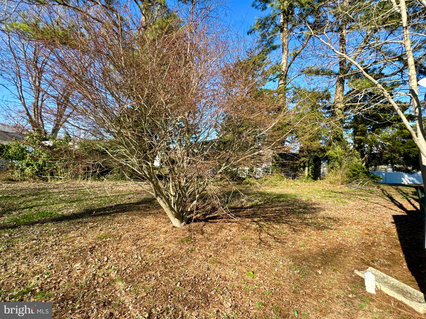 33515 Buttercup St Property Photo 32