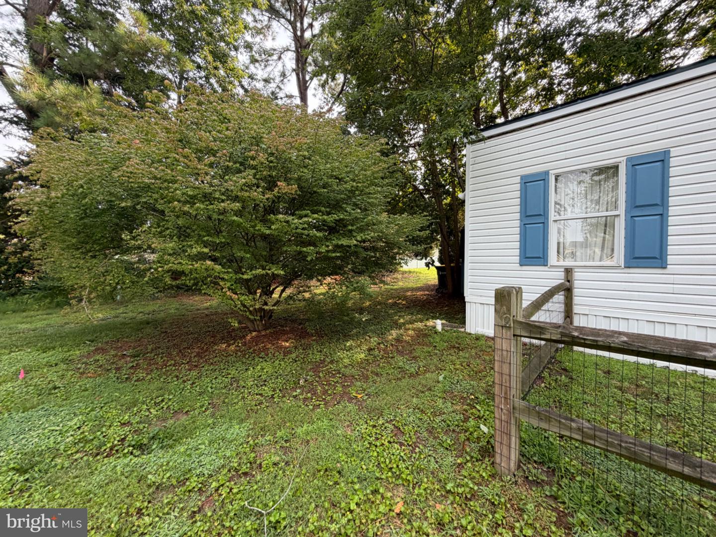33515 Buttercup St Property Photo 33