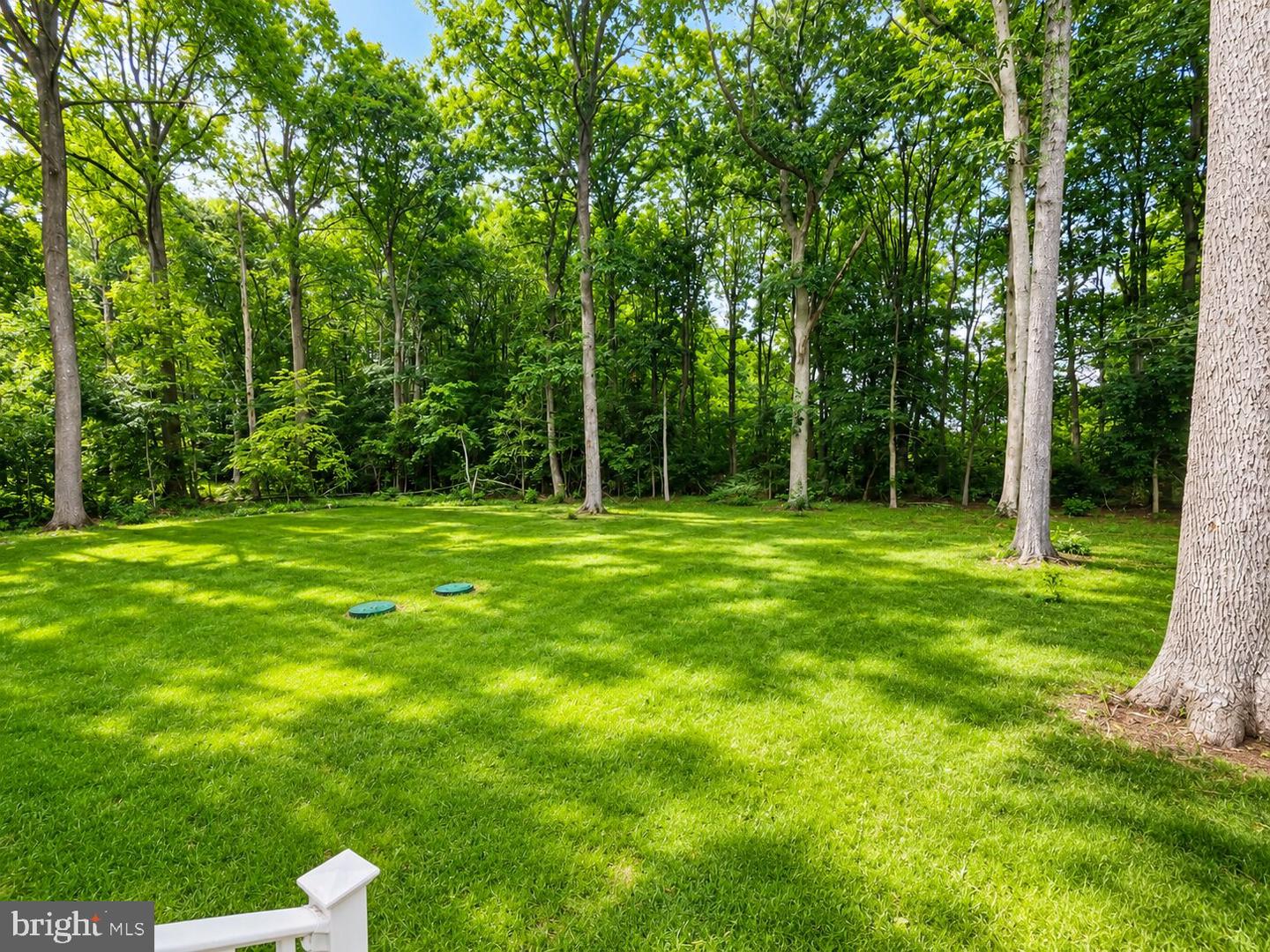 24519 Holly Acres Lane Property Photo 19