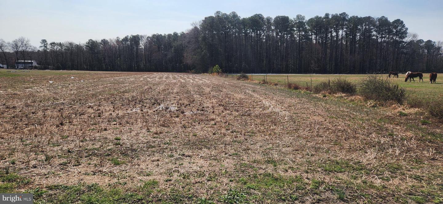 LOT 1 PEPPERBOX RD Property Photo 1