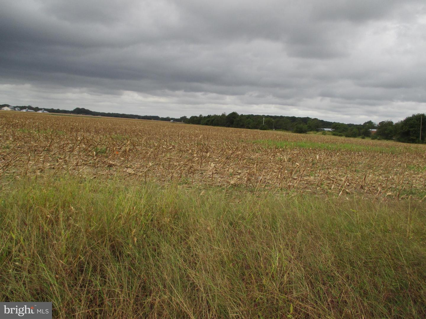 Lot 6 Gray Road Property Photo 1
