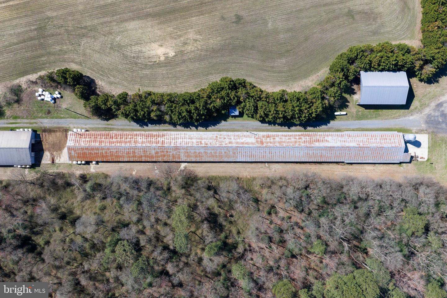 13651 Wilson Hill Rd Property Photo 19