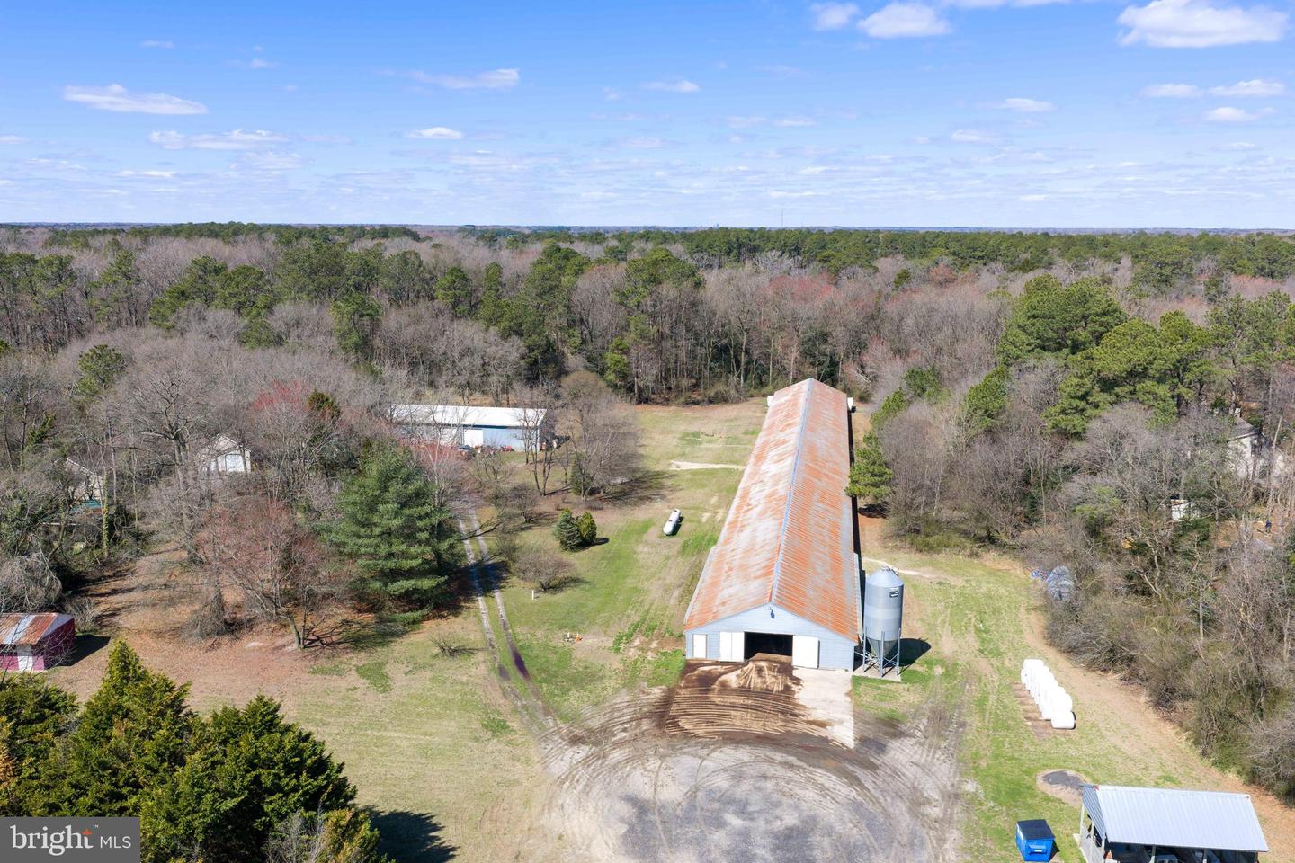 13651 Wilson Hill Rd Property Photo 22