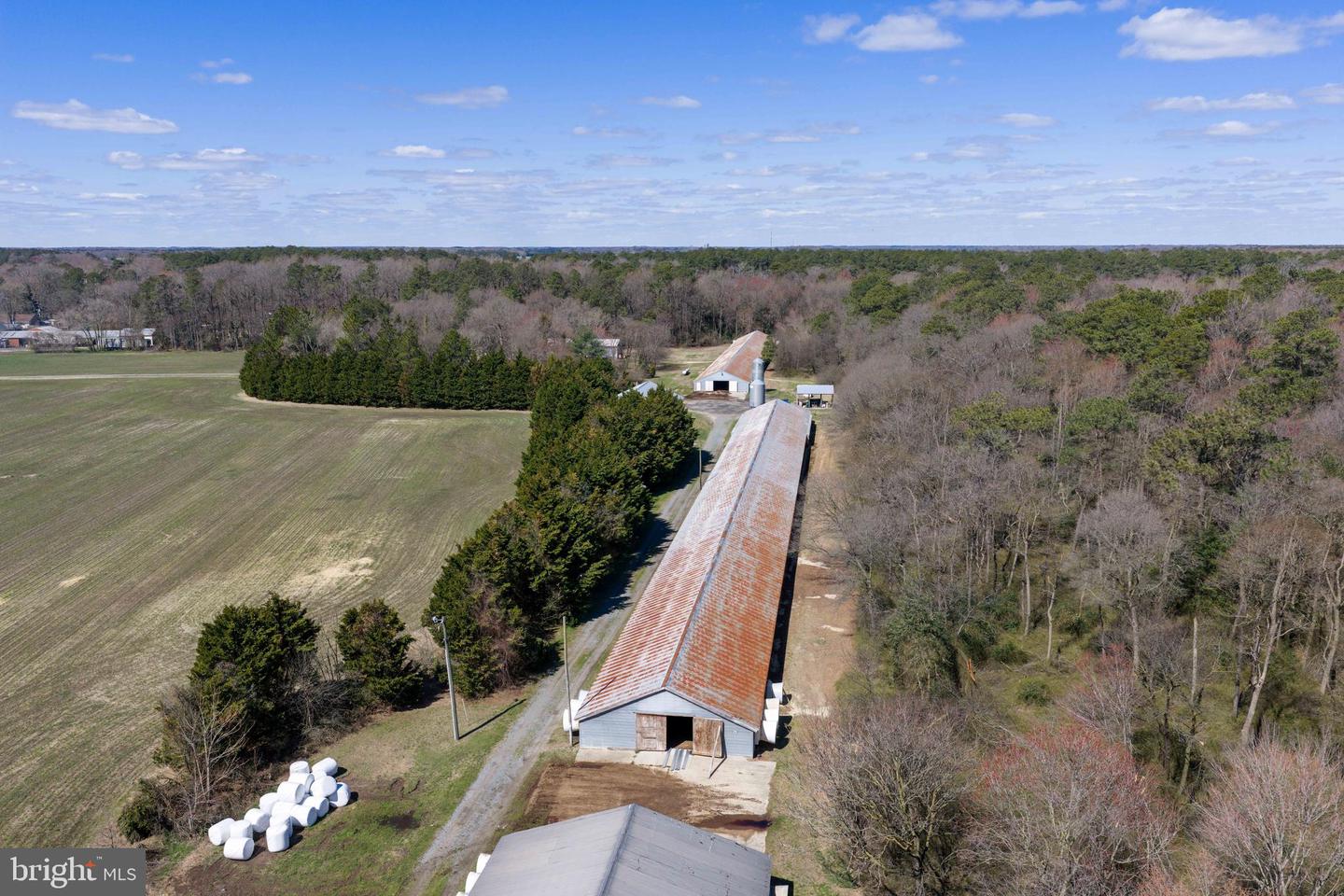13651 Wilson Hill Rd Property Photo 23
