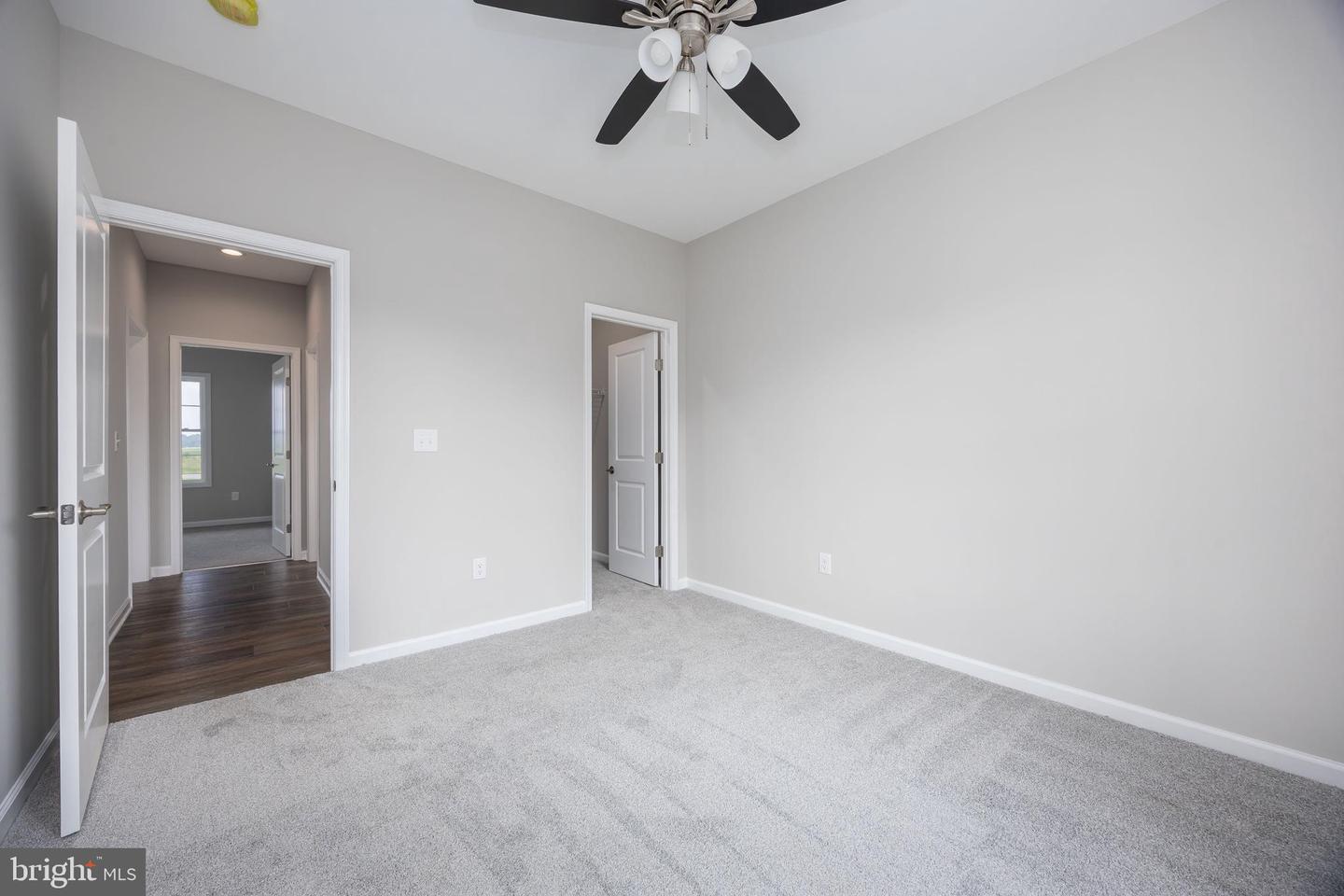 29125 Contessa Ct Property Photo 49