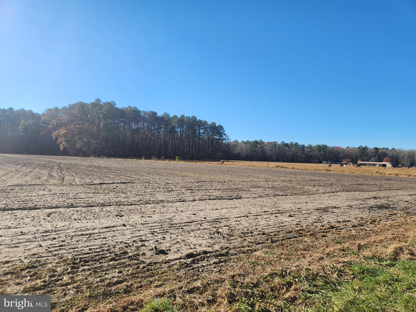 Lot #4 Pepperbox Property Photo 3