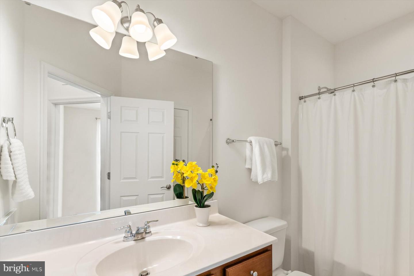 24032 Benjamin Harrison Cir Property Photo 18