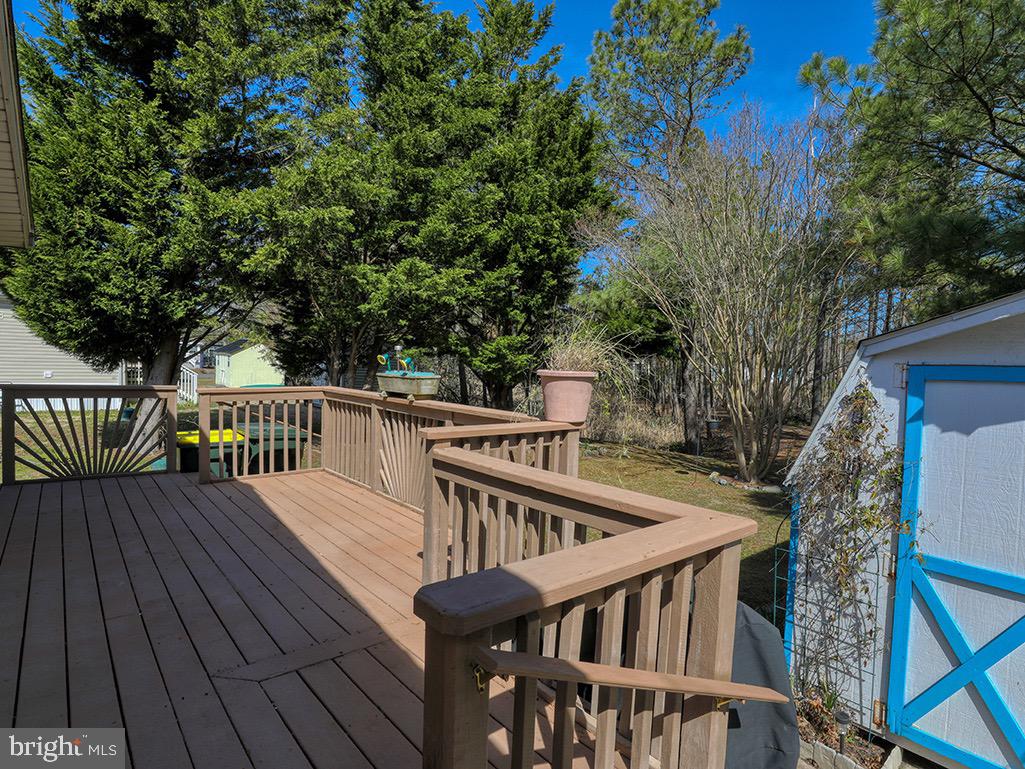 35959 Jake Dr Property Photo 22