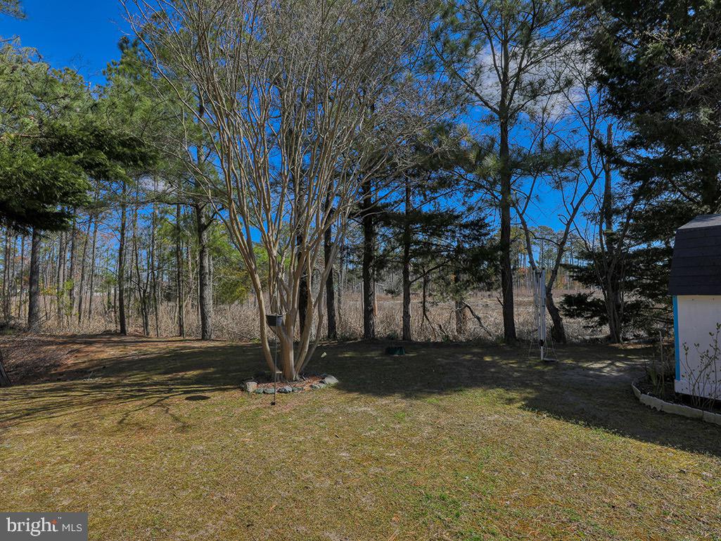 35959 Jake Dr Property Photo 25