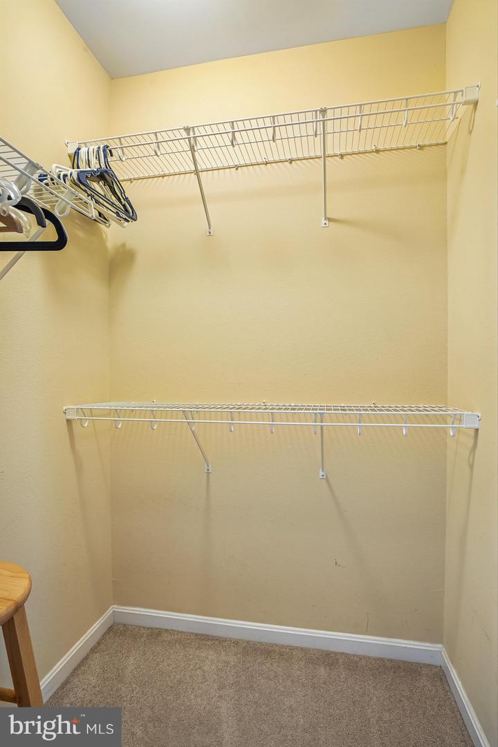 31568 Winterberry Pkwy #306 Property Photo 24