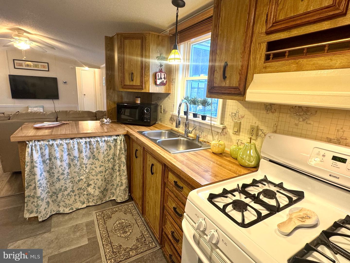 37262 W Sugar Hill Way Property Photo 19