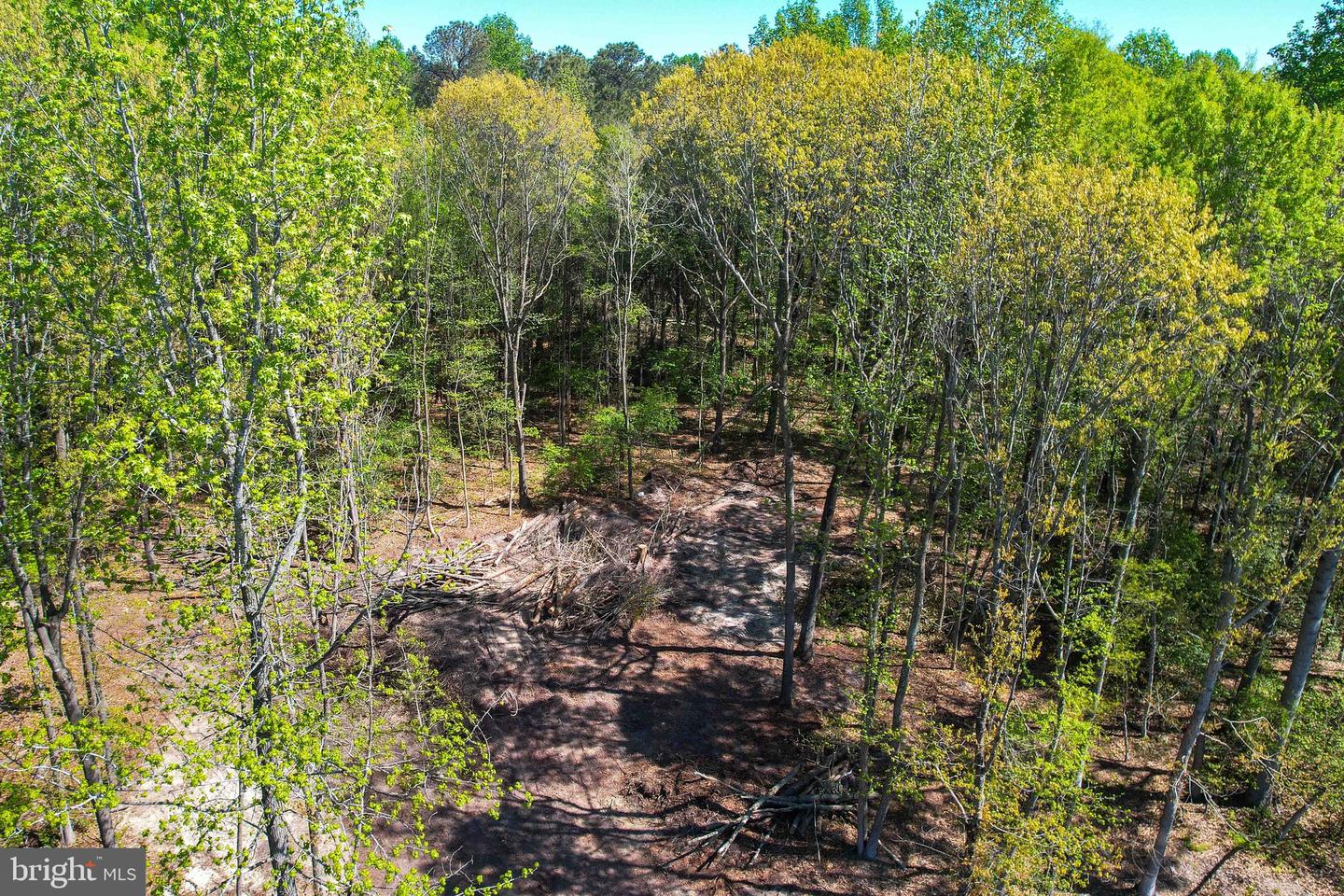 Lot 2 Megan Joy Ln Property Photo 12