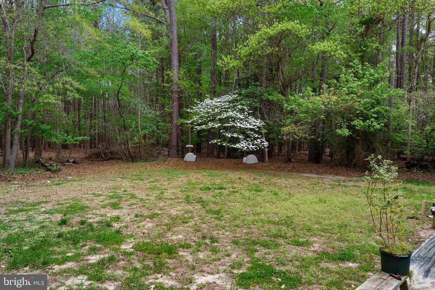 28830 Serenity Ln Property Photo 38