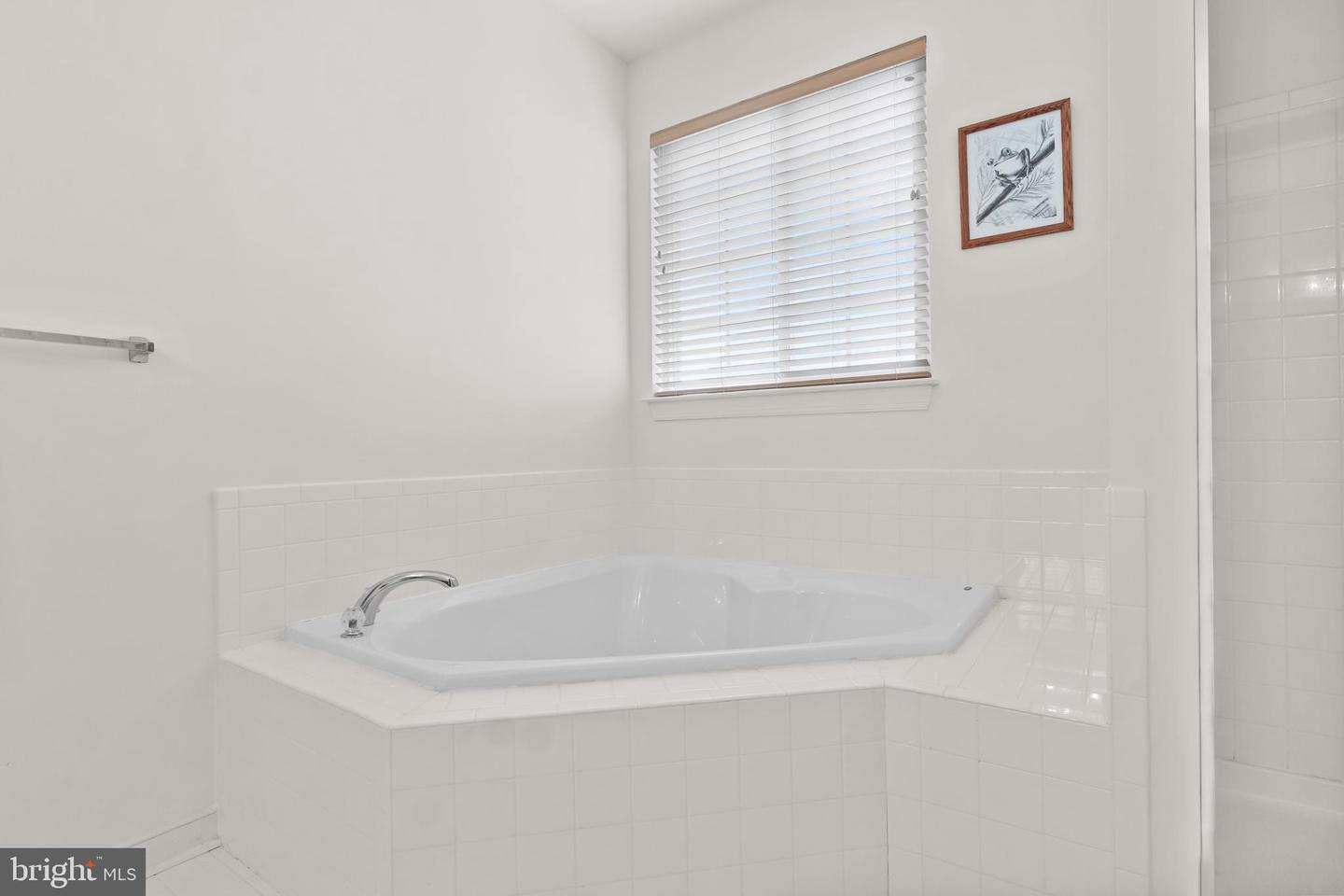 5 Saint George St Property Photo 21