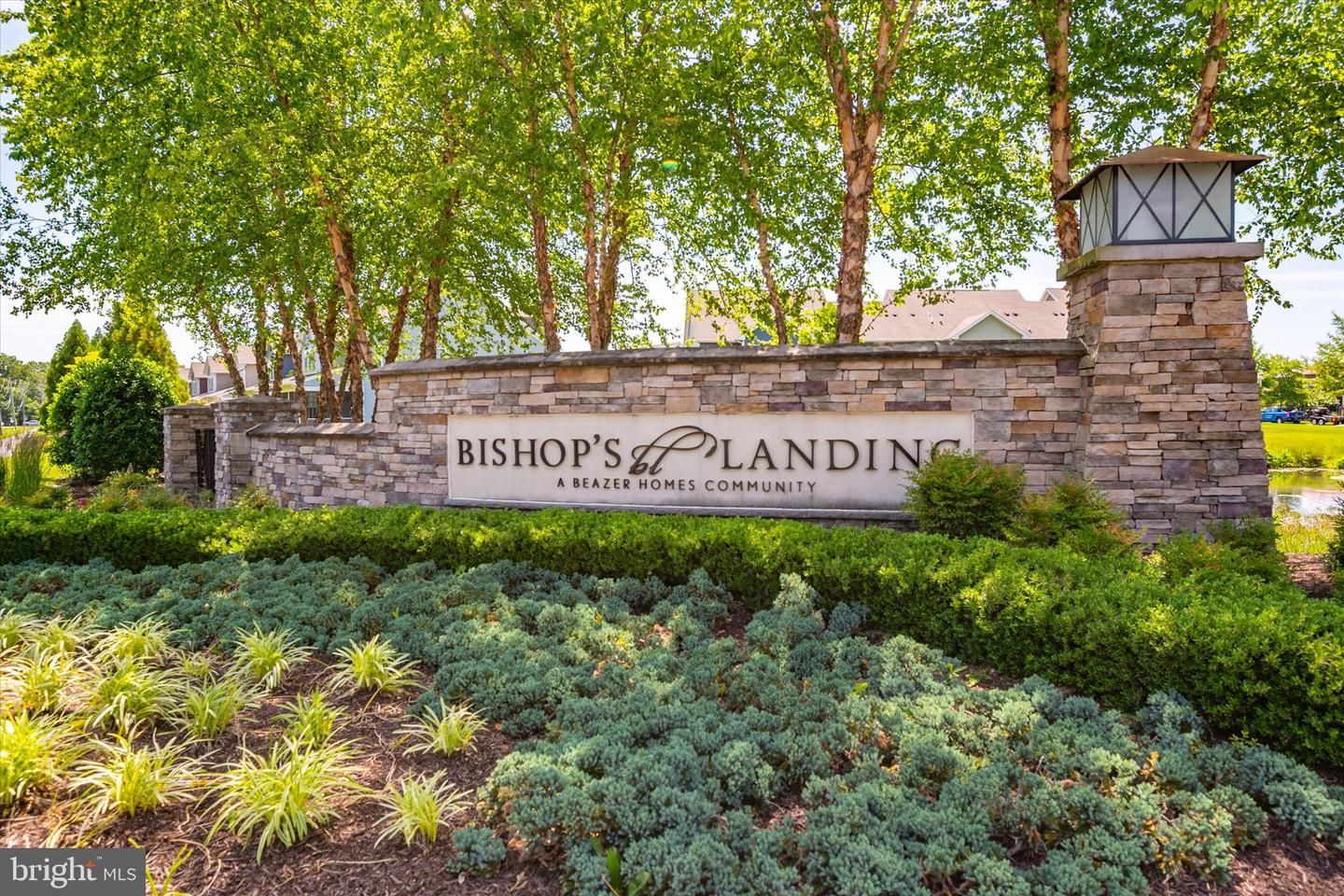 33281 Lone Cedar Lndg Property Photo 2