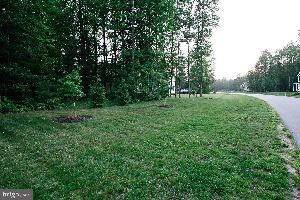 24268 Jerrico Rd Property Photo 40