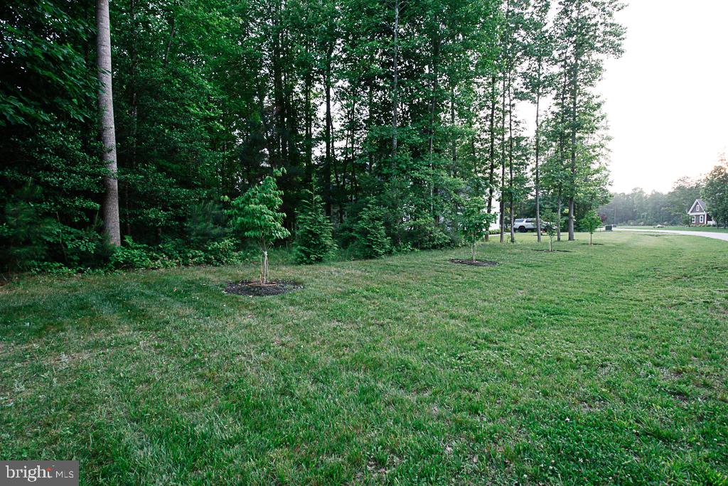 24268 Jerrico Rd Property Photo 42