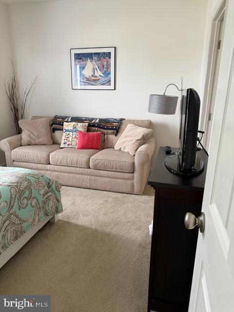 34682 Villa Cir #4306 Property Photo 19