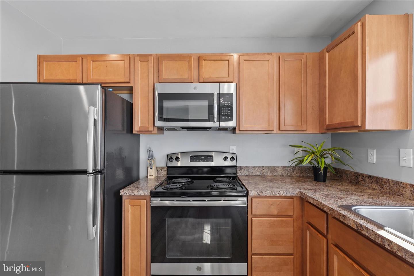 36432 Carriage Walk Ln Property Photo 11