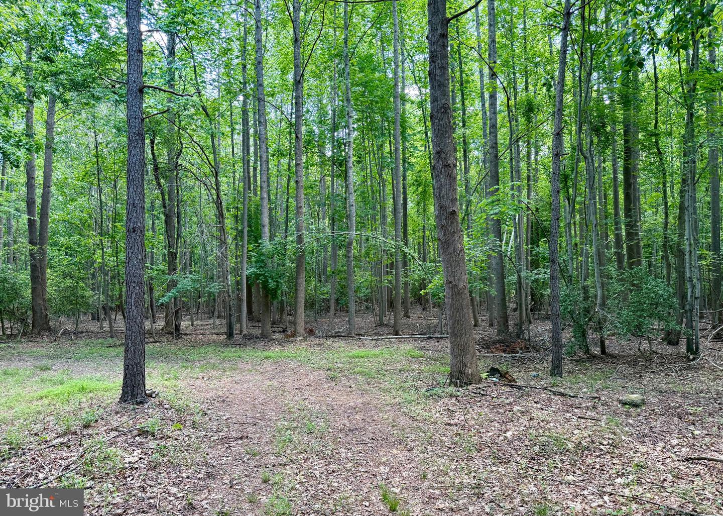 0 Benson Property Photo 1