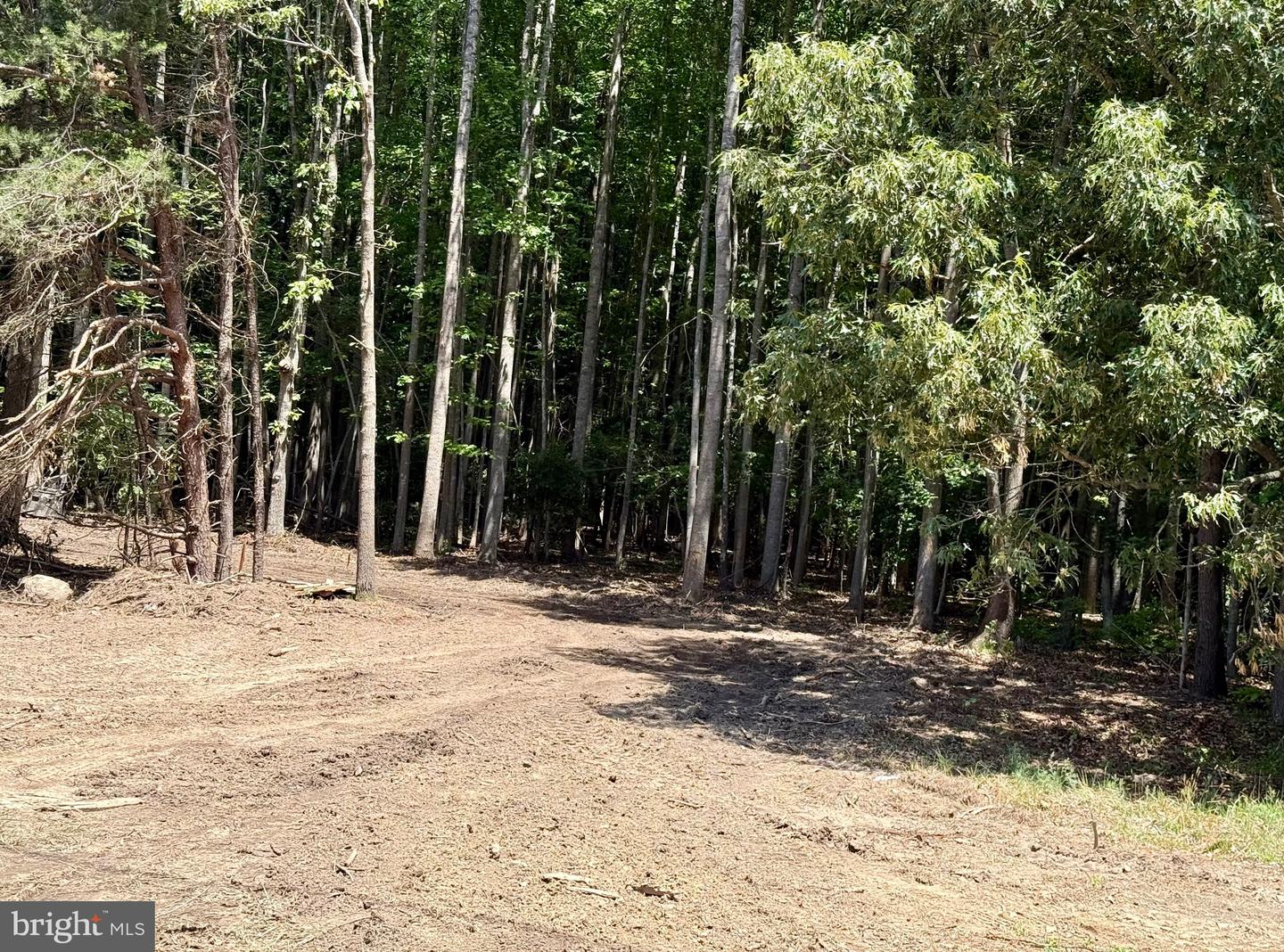 0 Benson Property Photo 5