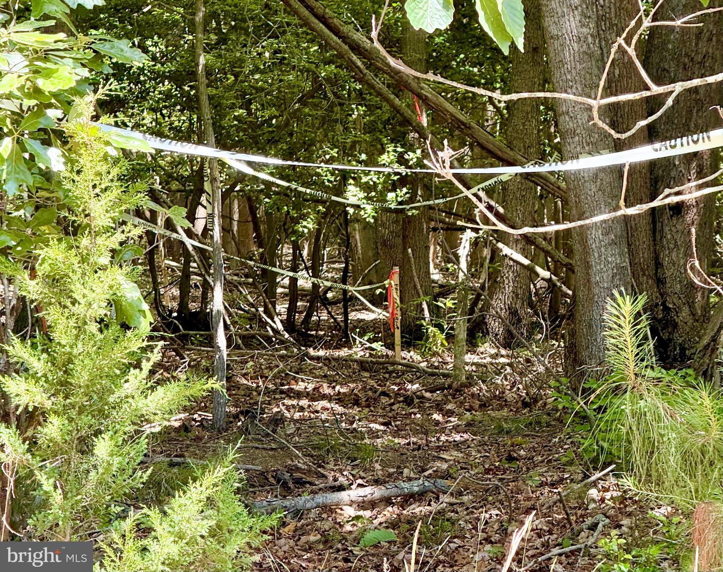 0 Benson Property Photo 7
