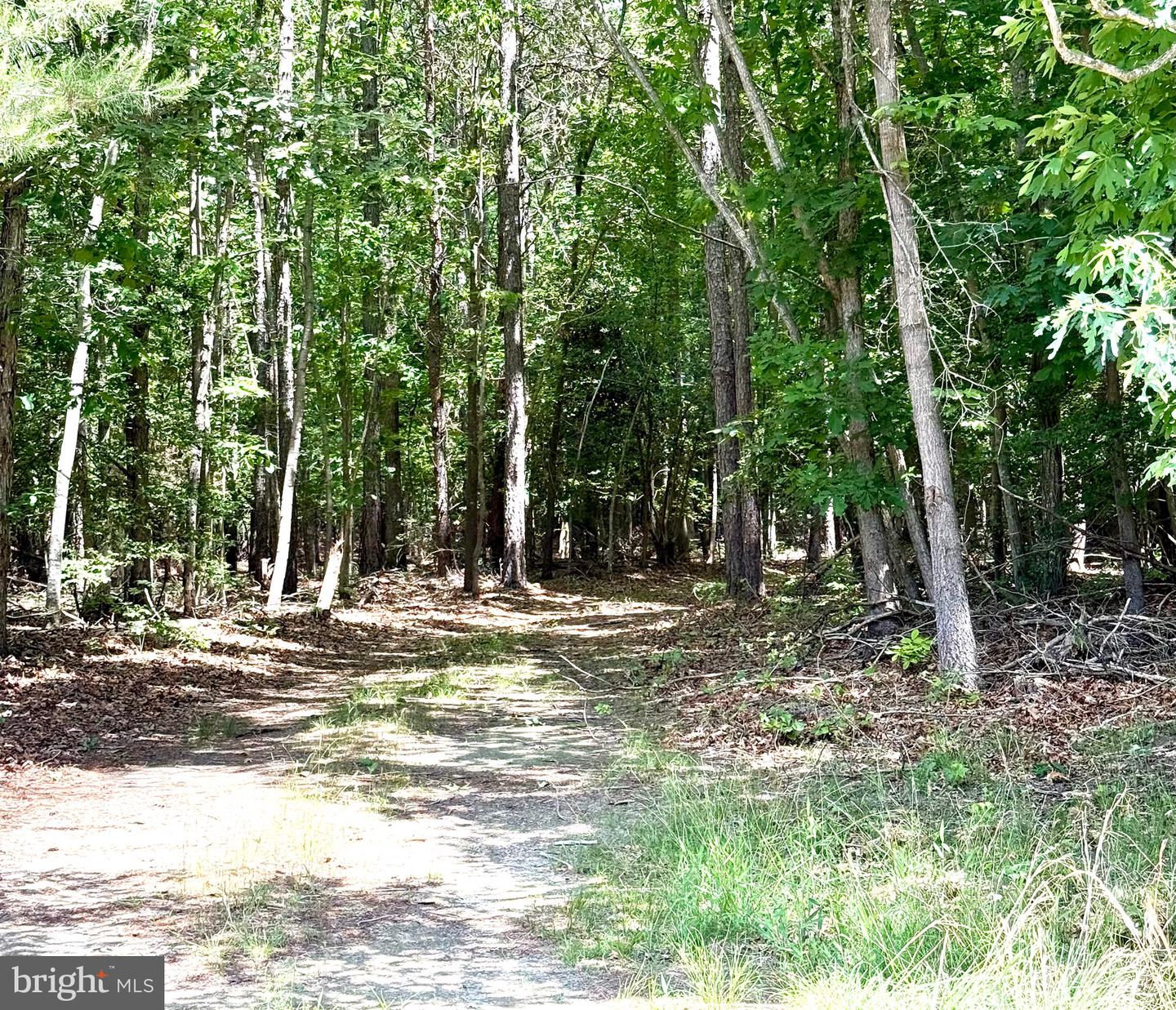 0 Benson Property Photo 9