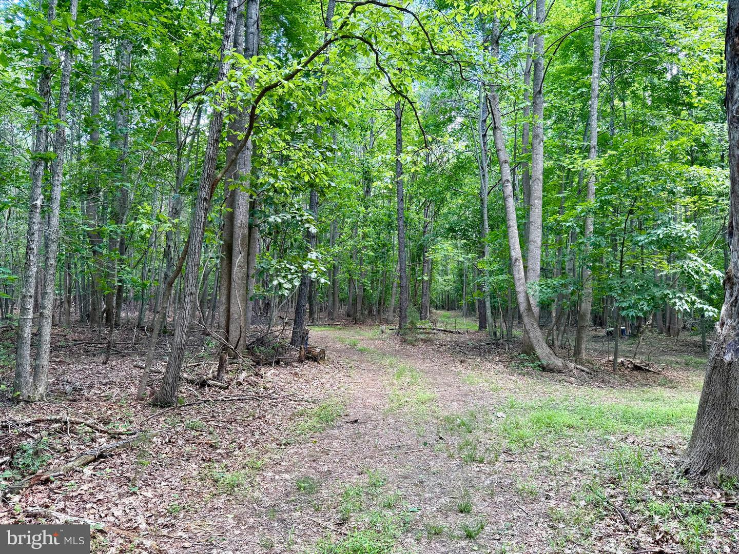 0 Benson Property Photo 10