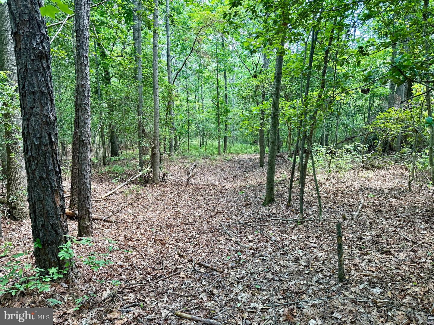 0 Benson Property Photo 11